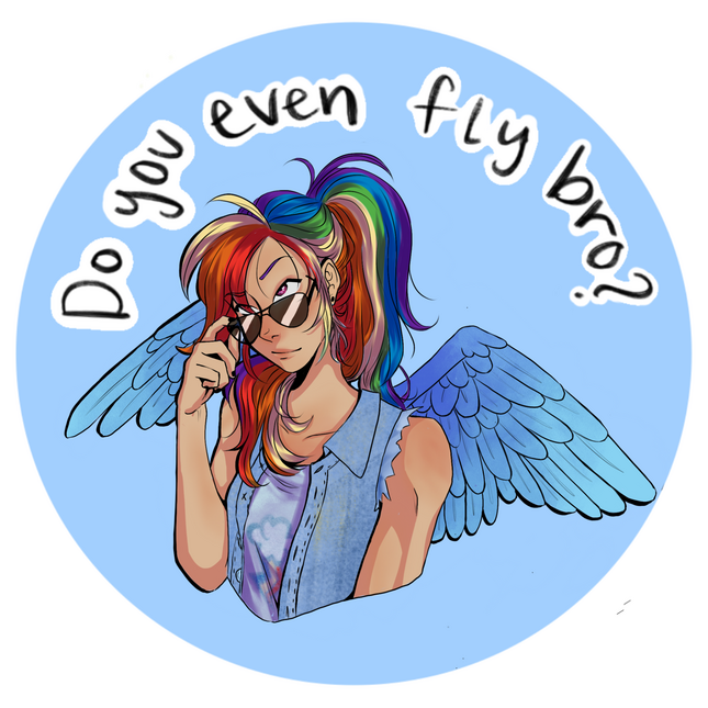 Do you even fly bro?